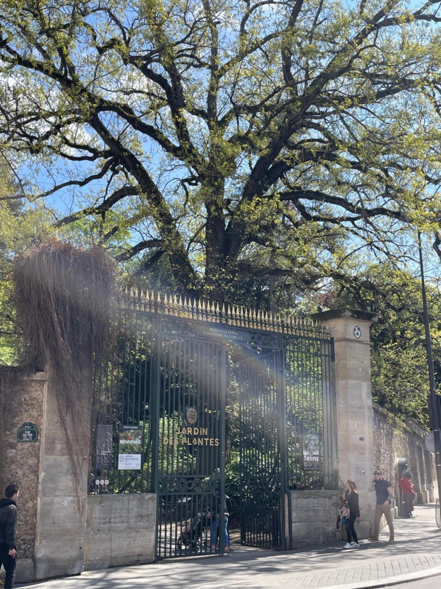 Appartamento Jardin Des Plantes